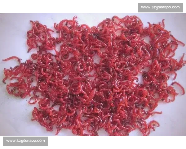 红线虫在生态系统中的独特角色及其对环境变化的敏感性分析